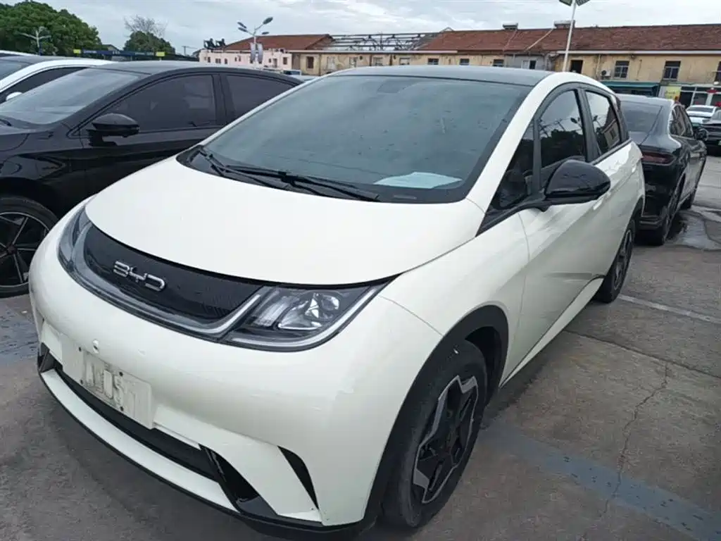 BYD Dolphin 2021 Model 405km Fashion Edition