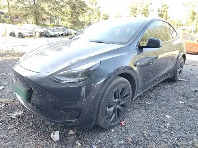 Tesla Model Y 2024 Rear-Wheel Drive Version