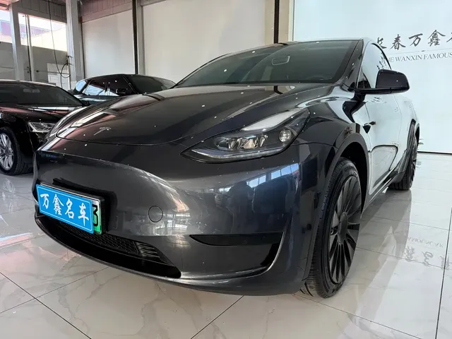 Tesla Model Y 2024 Rear-Wheel Drive Version