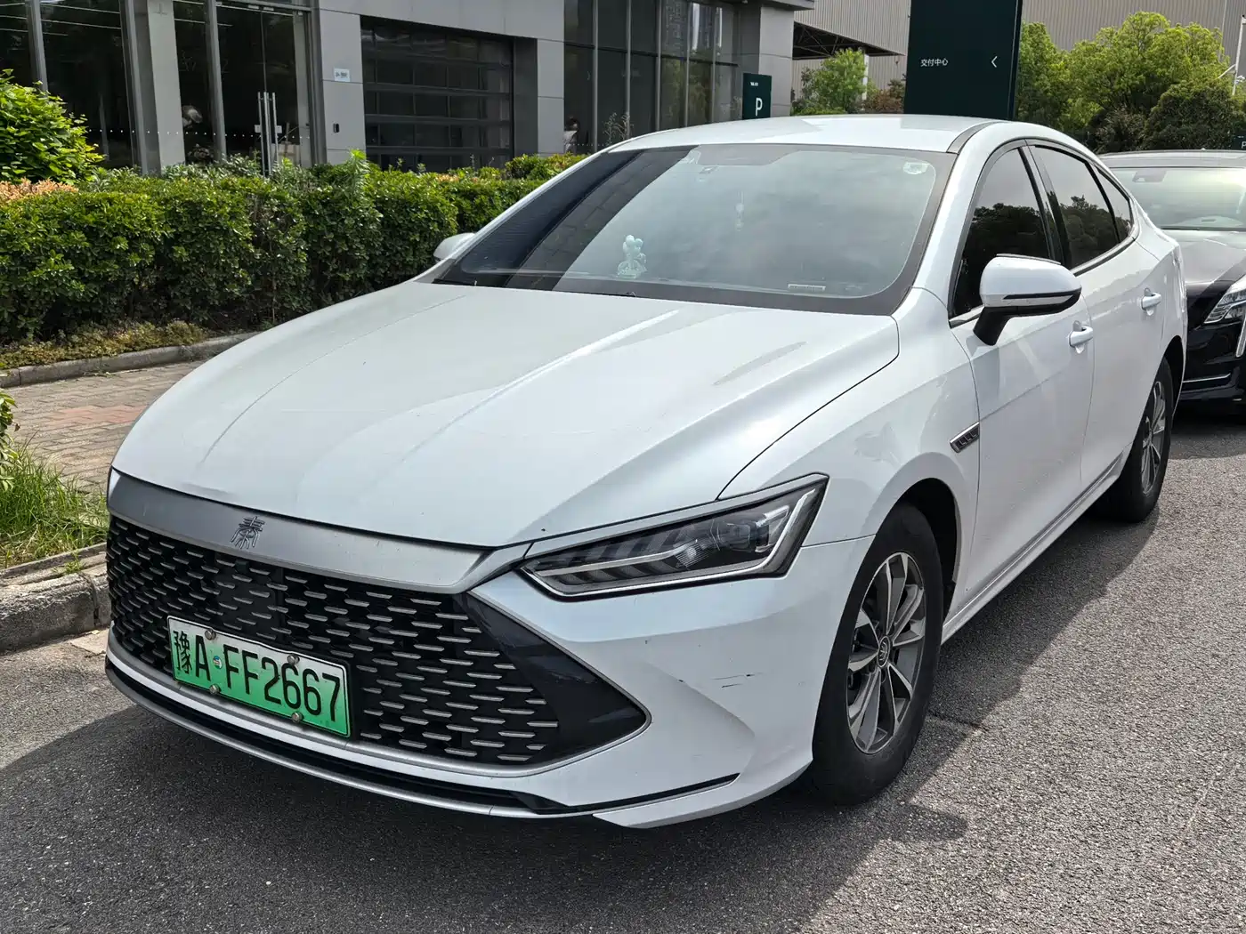 BYD Qin PLUS 2023 Champion Edition DM-i 55KM Leading