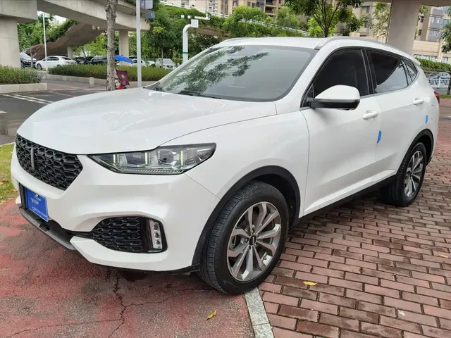 WEY VV6 2020 2.0T 2WD Smart Protection+
