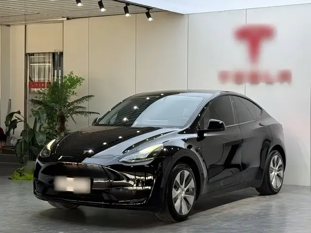 Tesla Model Y 2021 Standard Range Rear-Wheel Drive