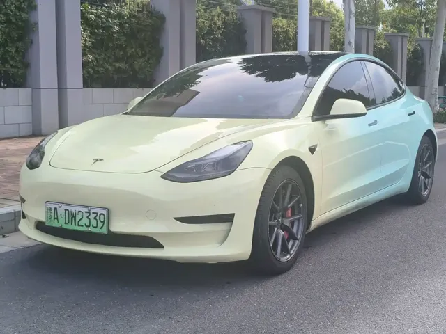 Tesla Model 3 2021 Standard Range Rear-Wheel Drive Upgrade 3D6