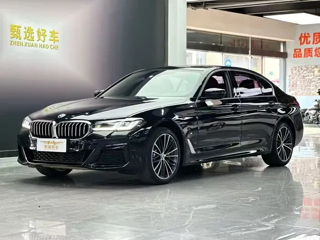 BMW 5 Series 2021 530Li Leading M Sport Package