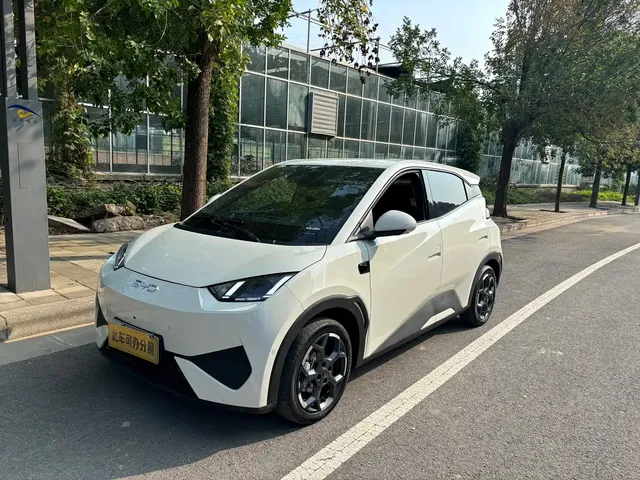BYD Seagull 2025 305km Freedom