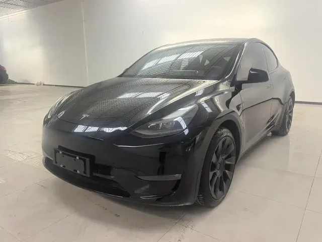 Tesla Model Y 2021 Standard Range Rear-Wheel Drive