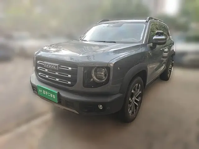 Haval Big Dog 2021 1.5T DCT 2WD Border Collie Edition