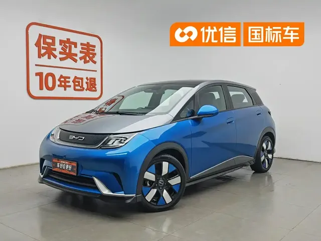 BYD Dolphin 2021 401km Knight Edition