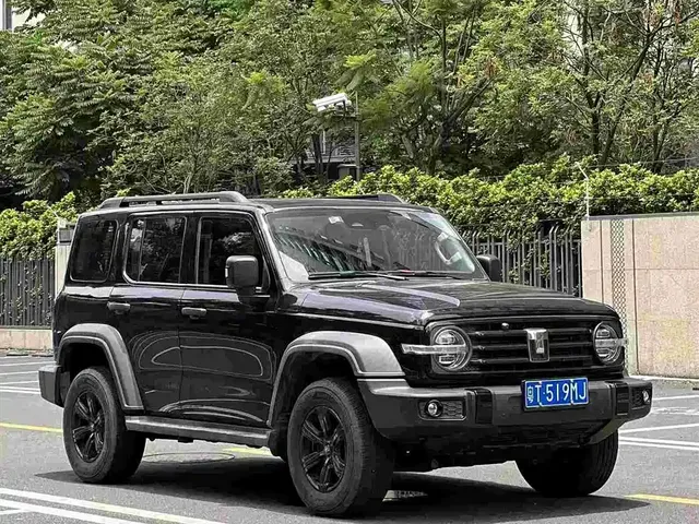 Tank 300 2021 Off-road Version 2.0T Conqueror