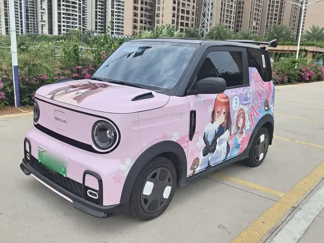 Geely Galaxy Panda 2025 Model Year 210km Panda Kart
