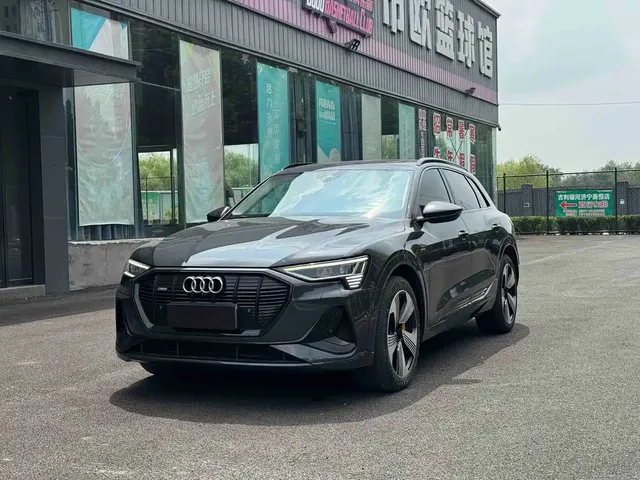 Audi e-tron (Import) 2019 55 quattro Technology