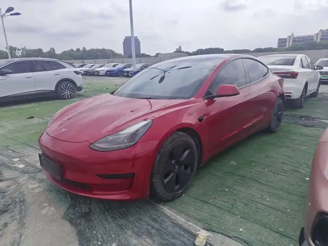 Tesla Model 3 2021 Standard Range Rear-Wheel Drive Upgrade