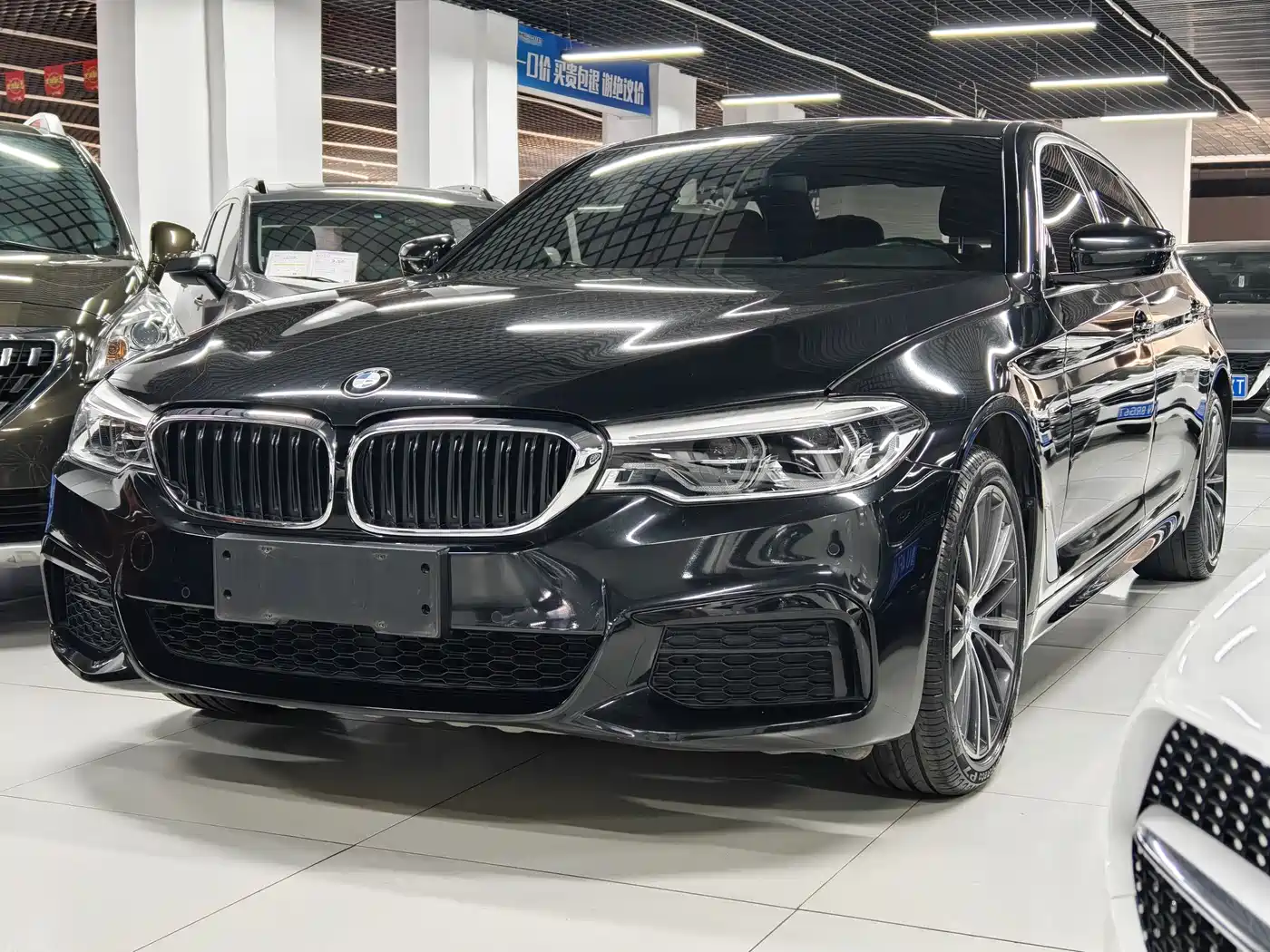 BMW 5 Series 2020 530Li Leading M Sport Package