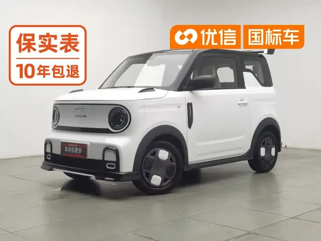 Geely Galaxy Panda 2025 Model Year 210km Panda Kart