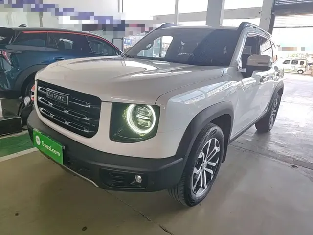 Haval Big Dog 2021 1.5T DCT 2WD Border Collie Edition