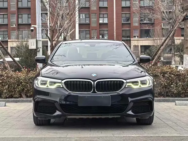 BMW 5 Series 2019 530Li Leading M Sport Package