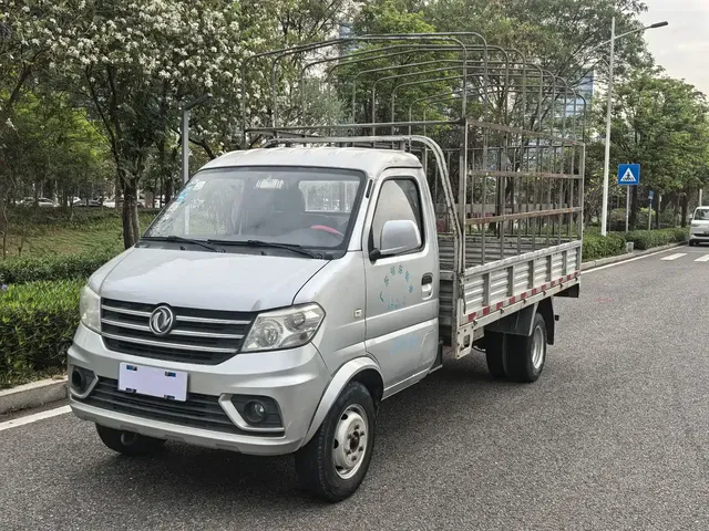Dongfeng Xiaokang DFSK D51 2020 1.5L Luxury Rear Dual Wheel China VI DK15