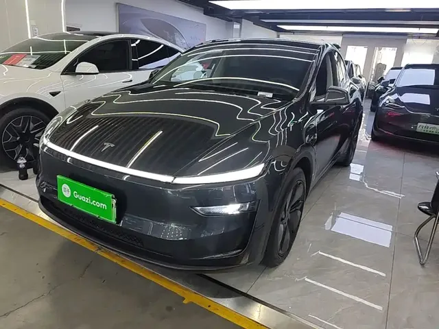 Tesla Model Y 2025 Rear-Wheel Drive