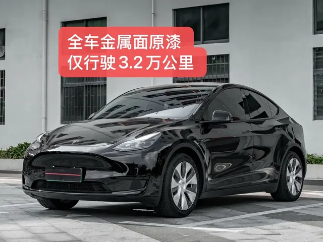 Tesla Model Y 2022 Rear-Wheel Drive Version