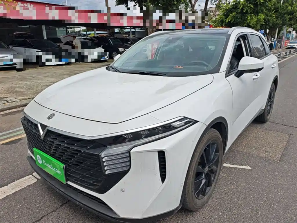 Venucia Big V 2021 260T King Edition