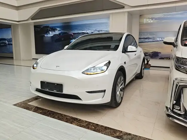 Tesla Model Y 2022 Performance High-Performance All-Wheel Drive Version