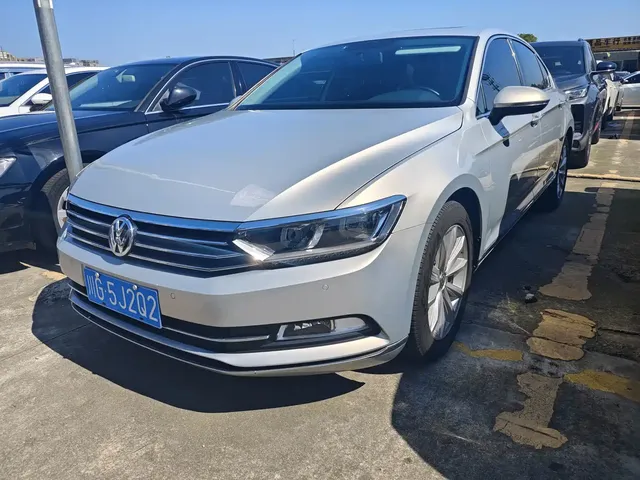 Volkswagen Magotan 2019 330TSI DSG Leading China VI
