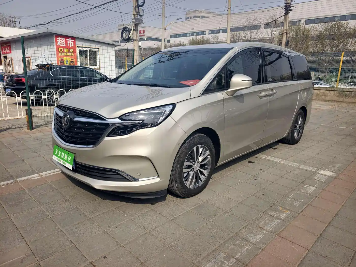 Buick GL8 2022 ES Landmark 653T Premium