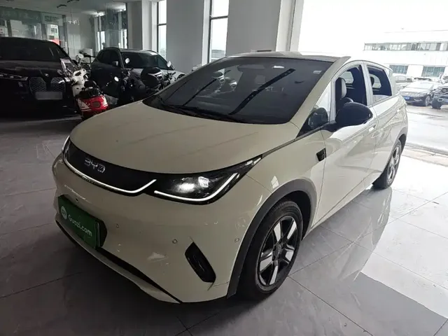 BYD Dolphin 2025 Smart Drive Edition 410km Fashion Version