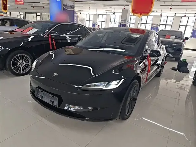 Tesla Model 3 2025 Model Rear-Wheel Drive Edition