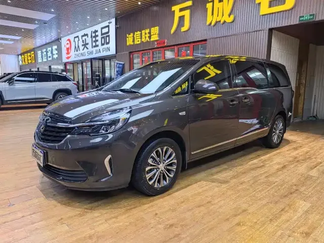 Buick GL8 2020 Model Land Business Class 652T Luxury