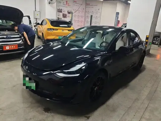 Tesla Model 3 2020 Standard Range Rear-Wheel Drive Upgrade
