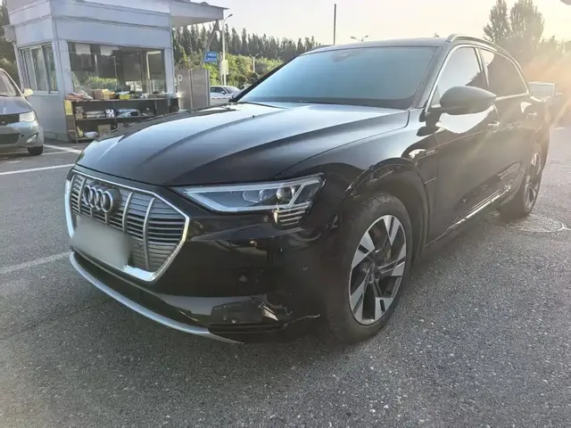 Audi e-tron (Import) 2019 55 quattro Technology