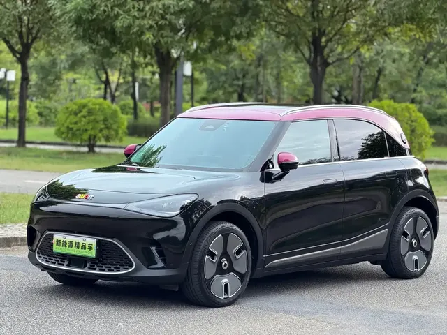 smart Elf #1 2022 Premium Edition