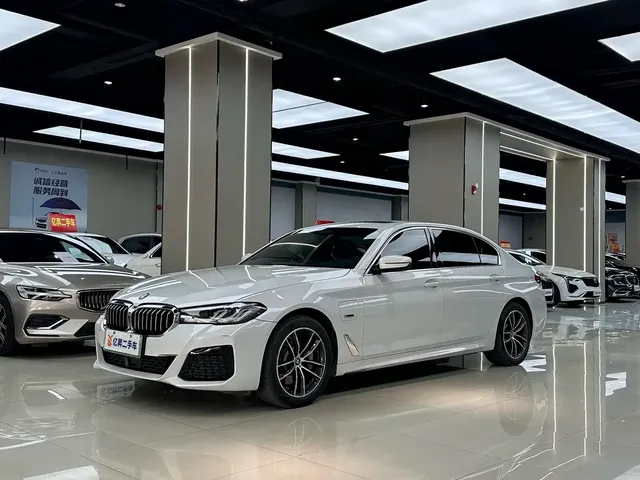 BMW 5 Series New Energy 2022 535Le Luxury Package