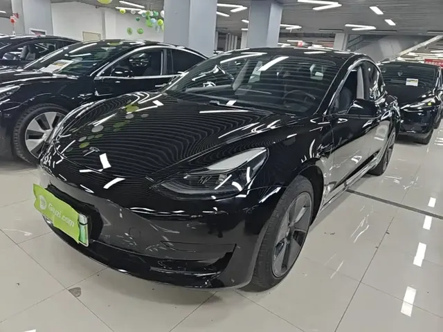 Tesla Model 3 2021 Standard Range Rear-Wheel Drive Upgrade