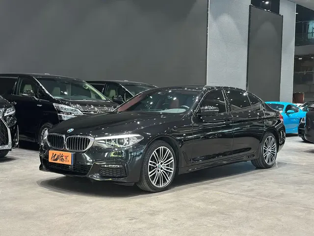 BMW 5 Series 2019 530Li Leading M Sport Package
