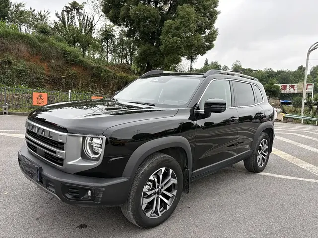 Haval Big Dog 2024 1.5T DCT Border Collie Edition