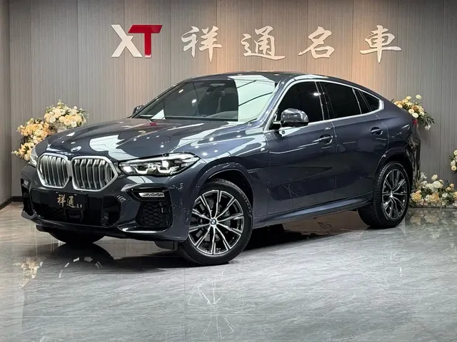 BMW X6 2021 xDrive40i M Sport Package