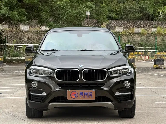 BMW X6 2015 xDrive35i Leading Type
