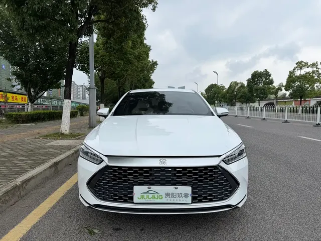 BYD Qin PLUS 2023 Champion Edition DM-i 120KM Surpassing Type