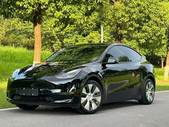 Tesla Model Y 2021 Standard Range Rear-Wheel Drive