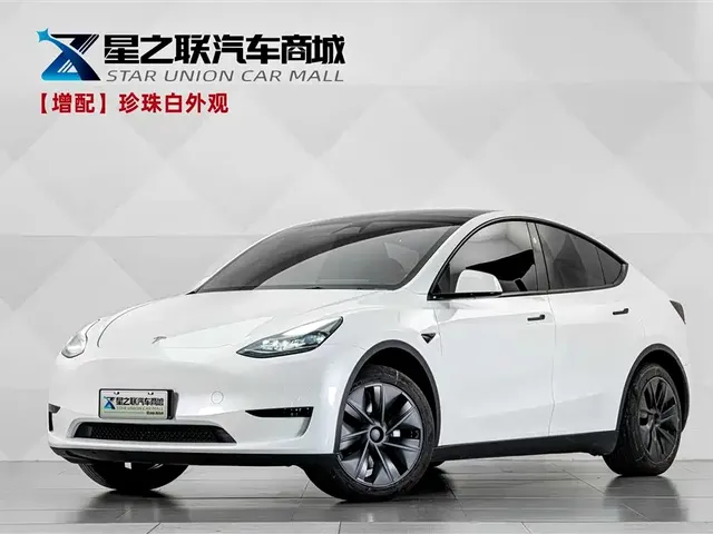 Tesla Model Y 2024 Rear-Wheel Drive Version