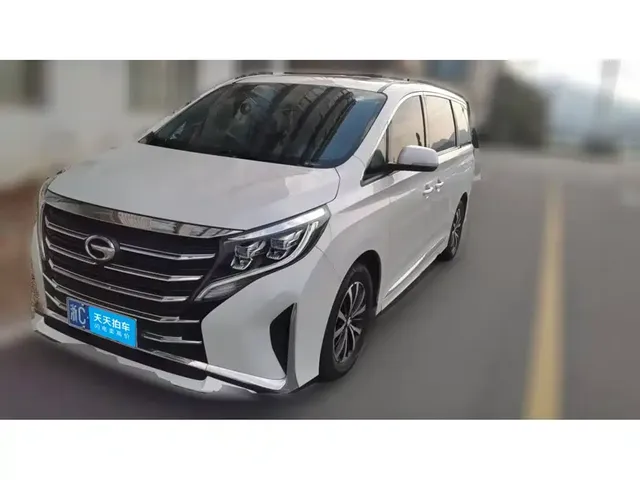 GAC Trumpchi M8 2023 Leading Series 390T Premium Edition