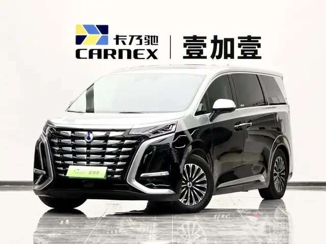 Denza D9 2024 PIONEER 4-Seater Pioneer Edition