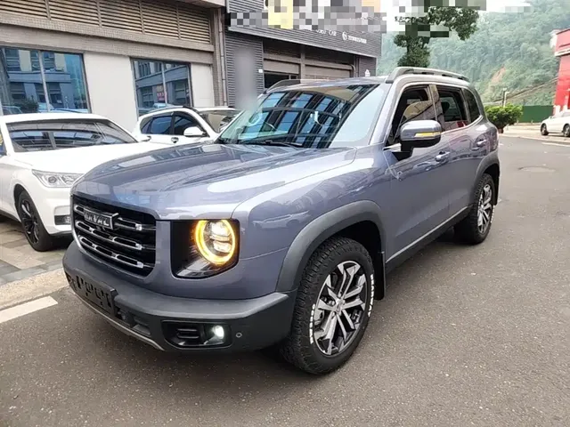 Haval Big Dog 2021 1.5T DCT 2WD Border Collie Edition