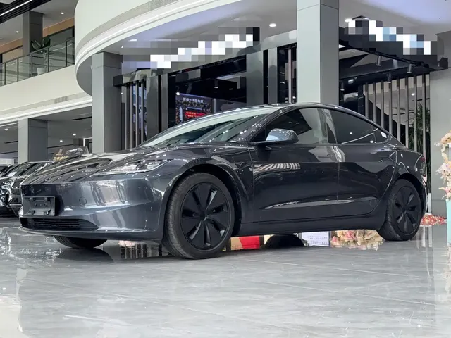 Tesla Model 3 2025 Model Rear-Wheel Drive Edition