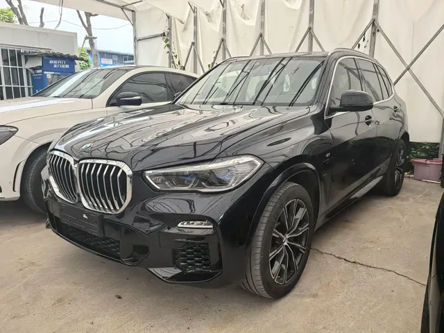 BMW X5 (Import) 2019 xDrive30i M Sport Package
