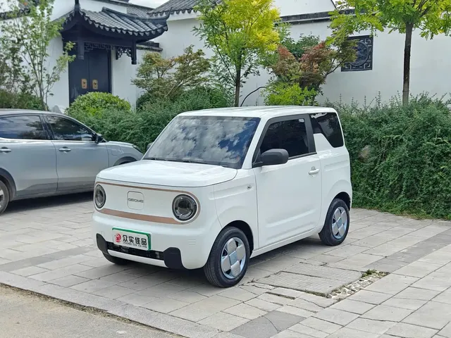 Geely Galaxy Panda 2024 200km Panda Knight