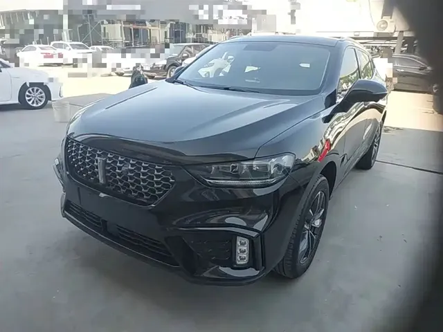 WEY VV5 2020 1.5T 2WD Smart Pioneer