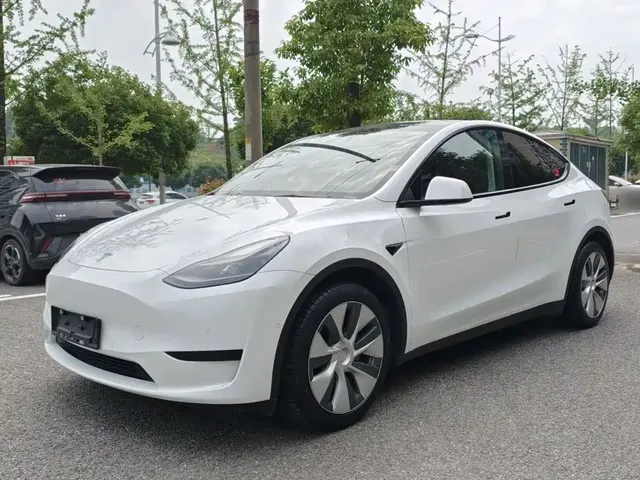 Tesla Model Y 2022 Rear-Wheel Drive Version